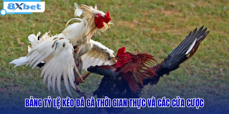 bang-ty-le-keo-da-ga-thoi-gian-thuc-va-cac-cua-cuoc bang-ty-le-keo-da-ga-thoi-gian-thuc-va-cac-cua-cuoc