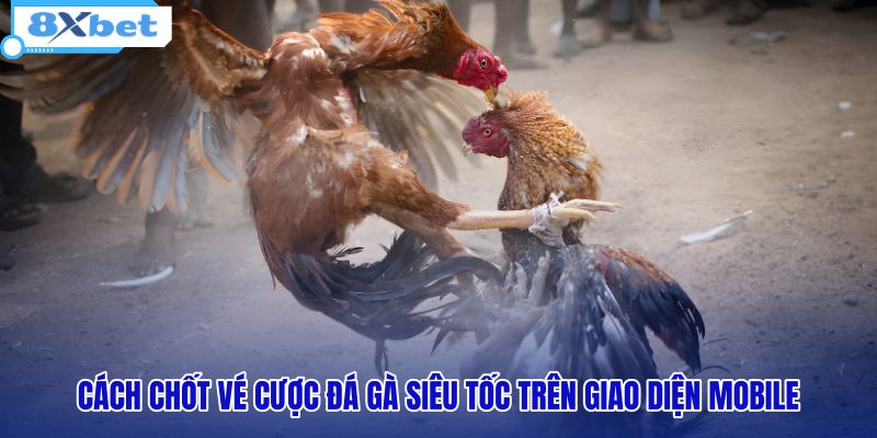 cach-chot-ve-cuoc-da-ga-sieu-toc-tren-giao-dien-mobile cach-chot-ve-cuoc-da-ga-sieu-toc-tren-giao-dien-mobile
