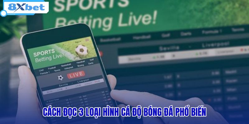 cach-doc-3-loai-hinh-ca-do-bong-da-pho-bien cach-doc-3-loai-hinh-ca-do-bong-da-pho-bien