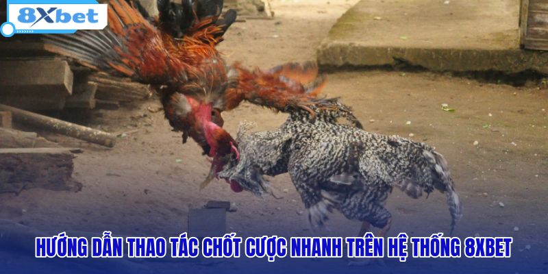 huong-dan-thao-tac-chot-cuoc-nhanh-tren-he-thong-8xbet huong-dan-thao-tac-chot-cuoc-nhanh-tren-he-thong-8xbet