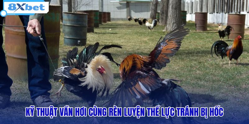 ky-thuat-van-hoi-cung-ren-luyen-the-luc-tranh-bi-hoc ky-thuat-van-hoi-cung-ren-luyen-the-luc-tranh-bi-hoc