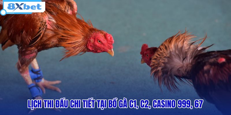 lich-thi-dau-chi-tiet-tai-bo-ga-c1-c2-casino-999-67