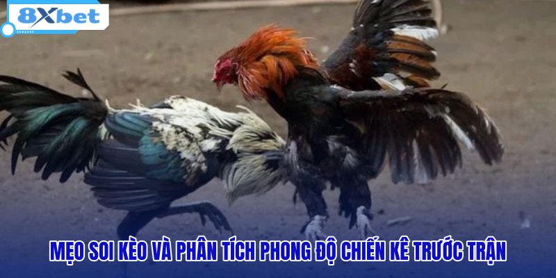 meo-soi-keo-va-phan-tich-phong-do-chien-ke-truoc-tran meo-soi-keo-va-phan-tich-phong-do-chien-ke-truoc-tran