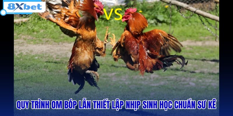 quy-trinh-om-bop-lan-thiet-lap-nhip-sinh-hoc-chuan-su-ke quy-trinh-om-bop-lan-thiet-lap-nhip-sinh-hoc-chuan-su-ke