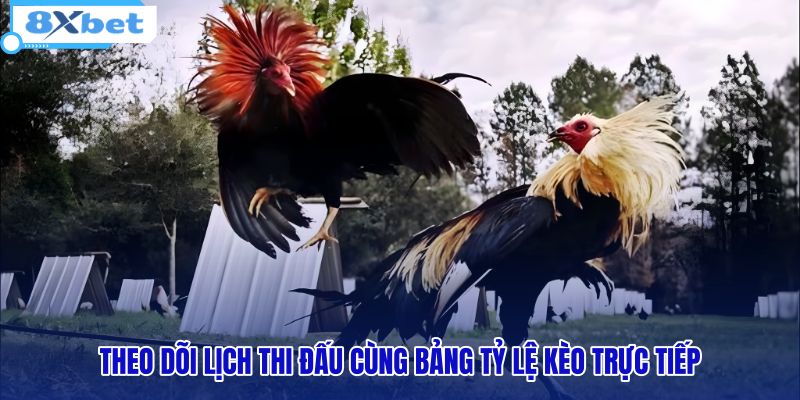theo-doi-lich-thi-dau-cung-bang-ty-le-keo-truc-tiep theo-doi-lich-thi-dau-cung-bang-ty-le-keo-truc-tiep
